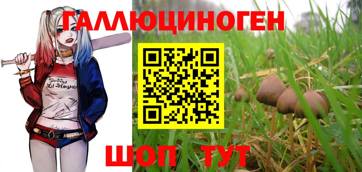 Псилоцибиновые грибы Magic Shrooms Партизанск